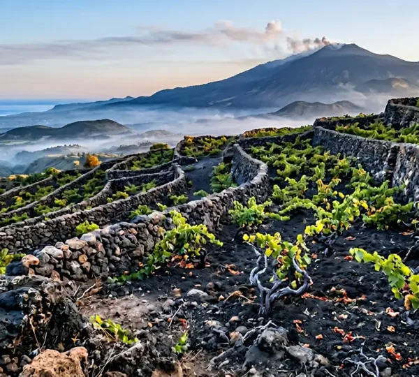 Sommelier che degusta un vino dell'Etna in un vigneto vulcanico con vista sul vulcano